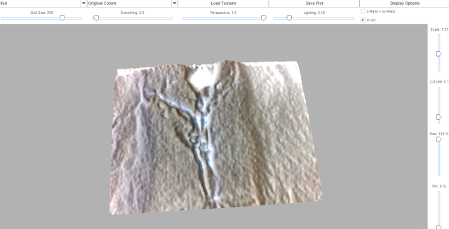 Scorch image after 3D enhancement in ImageJ
