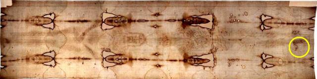 Shroud of Turin (Durante 2002 image from Shroud Scope with adjustment to contrast and brightness). Note the blood flow ONTO the linen from a foot (circled) suggestive of imaging (real or simulated) having occurred soon after removal from the cross, i.e. more likely en route to tomb.